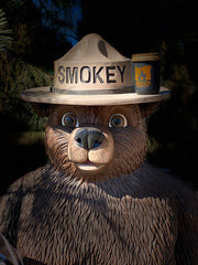OREGON WILDFIRE RELIEF